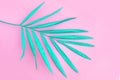 Tropical green palm leaf on pink background. Fashion minimal pop art style.