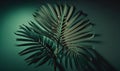 Tropical Green Palm Leaf Shadow Abstract Natural Background for Dreamy Designs. Royalty Free Stock Photo