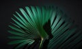 Tropical Green Palm Leaf Shadow Abstract Natural Background for Dreamy Designs. Royalty Free Stock Photo