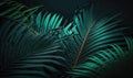 Tropical Green Palm Leaf and Shadow Abstract Natural Background for Invitations and Posters. Royalty Free Stock Photo