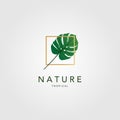 Tropical green palm leaf vintage classic logo in golden frmae square vector minimalist icon design