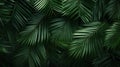 Tropical green palm leaves Design on background, Summer background