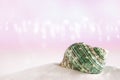 Tropical Green Sea Shell On White Sand With Festive Glitter Back