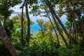 Tropical greenery and turquoise blue sea water landscape. Tropical island nature. Green jungle forest with seaview Royalty Free Stock Photo