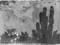 Tropical grunge gray-scale