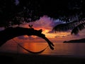 Tropical Hammock in Paradise at Sunset Royalty Free Stock Photo