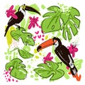 Tropical hand draw vector collection with monstera leaves, parrots - toucans, pink tropic flowers, mixed with paint Royalty Free Stock Photo