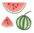 Tropical hand drawn Fruit Clipart, Watercolor Summer Food illustration, Exotic Fruit, Watermelon fruit clip art set, botanical, Royalty Free Stock Photo