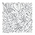 Tropical hand drawn vector sketch set with leaves. Abstract exotic stylized plant drawing Royalty Free Stock Photo