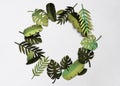 Tropical Handcrafted Papercraft Nature Petals Concept