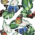 Tropical Hawaii leaves palm tree and butterflies pattern in a watercolor style isolated. Royalty Free Stock Photo