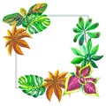 Tropical Hawaii leaves palm tree frame in a vector style. Royalty Free Stock Photo