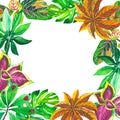 Tropical Hawaii leaves palm tree frame in a vector style. Royalty Free Stock Photo