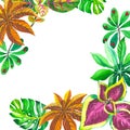 Tropical Hawaii leaves palm tree frame in a vector style. Royalty Free Stock Photo