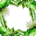 Tropical Hawaii leaves palm tree frame in a vector style. Royalty Free Stock Photo