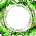 Tropical Hawaii leaves palm tree frame in a watercolor style. Royalty Free Stock Photo