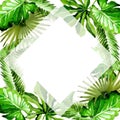 Tropical Hawaii leaves palm tree frame in a watercolor style. Royalty Free Stock Photo