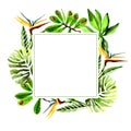 Tropical Hawaii leaves palm tree frame in a watercolor style. Royalty Free Stock Photo