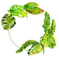 Tropical Hawaii leaves palm tree frame in a watercolor style isolated. Royalty Free Stock Photo