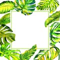 Tropical Hawaii leaves palm tree frame in a watercolor style isolated. Royalty Free Stock Photo