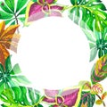 Tropical Hawaii leaves palm tree frame in a watercolor style isolated. Royalty Free Stock Photo