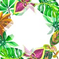 Tropical Hawaii leaves palm tree frame in a watercolor style isolated. Royalty Free Stock Photo