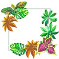 Tropical Hawaii leaves palm tree frame in a watercolor style isolated. Royalty Free Stock Photo