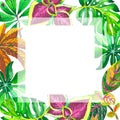 Tropical Hawaii leaves palm tree frame in a watercolor style isolated. Royalty Free Stock Photo