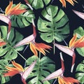 Tropical Hawaii leaves palm tree pattern in a watercolor style isolated. Royalty Free Stock Photo
