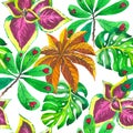 Tropical Hawaii leaves palm tree pattern in a watercolor style isolated. Royalty Free Stock Photo