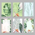 Tropical Hawaii leaves palm tree theme in a watercolor style isolated. Royalty Free Stock Photo