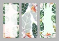 Tropical Hawaii leaves palm tree theme in a watercolor style isolated. Royalty Free Stock Photo