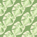 Tropical hawaii monstera leaves print seamless pattern. Light pastel foliage ornament on green background