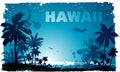 Tropical hawaiian background