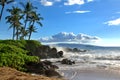 Tropical Hawaiian Beach