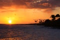 Tropical Hawaiian Sunset Royalty Free Stock Photo