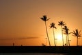 Tropical Hawaiian Sunset Waikiki Honolulu Hawai Royalty Free Stock Photo