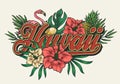 Tropical hawaiian vintage colorful print