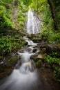 Tropical Hawaiian waterfall deep in the rianforest