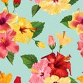 Tropical Hibiscus Flower Seamless Pattern. Floral Summer Background for Fabric Textile, Wallpaper, Decor, Wrapping Royalty Free Stock Photo