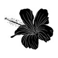 Tropical hibiscus flower silhouette. Chinese rose flower. Hand drawn vector illustration for logo, card or invite, tea Royalty Free Stock Photo