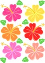 Tropical Hibiscus Flowers/eps