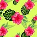 Tropical hibiscus flowers and palm leaves bouquets seamless pattern Royalty Free Stock Photo