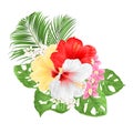 Tropical Hibiscus white yellow red and orchids Cymbidium pink flowers and Monstera and palm watercolor on a white background