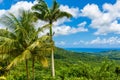 Tropical highland scenery on the Caribbean island of Barbados. It is a paradise destination with a white sand beach and turquoiuse