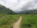 Tropical hilly countryside in rural part of Abra de Ilog, Mindoro Royalty Free Stock Photo