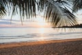 Tropical holiday beach at sunset, empty exotic vacation landscape with palm tree