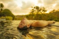 Tropical holidays lifestyle portrait of young beautiful and happy Asian Korean woman in bikini enjoying sunset at amazing jungle