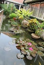 Tropical home lake garden Royalty Free Stock Photo
