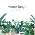 Tropical home plants in pots, seamless border Royalty Free Stock Photo